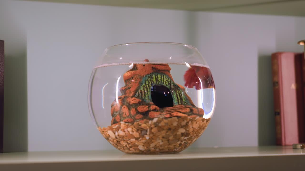Red fish swims in clear water inside round glass jar featuring decorative eye sculpture and gravel base, jar placed on shelf flanked by closed books and golden desk lamp in soft indoor setting