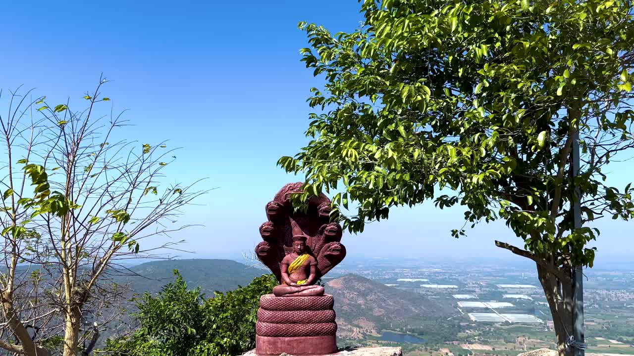 estatua de buda con fondo de montaña y árbol