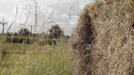 Bale-of-hay-in-farmers-field-medium-shot