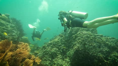 scuba divers swimming against the ocean current through coral reefs in koh lipe thailand