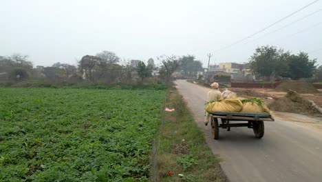 Carreta-De-Bueyes-Moviéndose-De-Frente-De-Atrás-A-Lado-Vista-Amplia