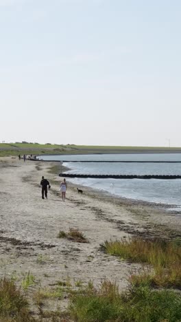 people walking on a beach