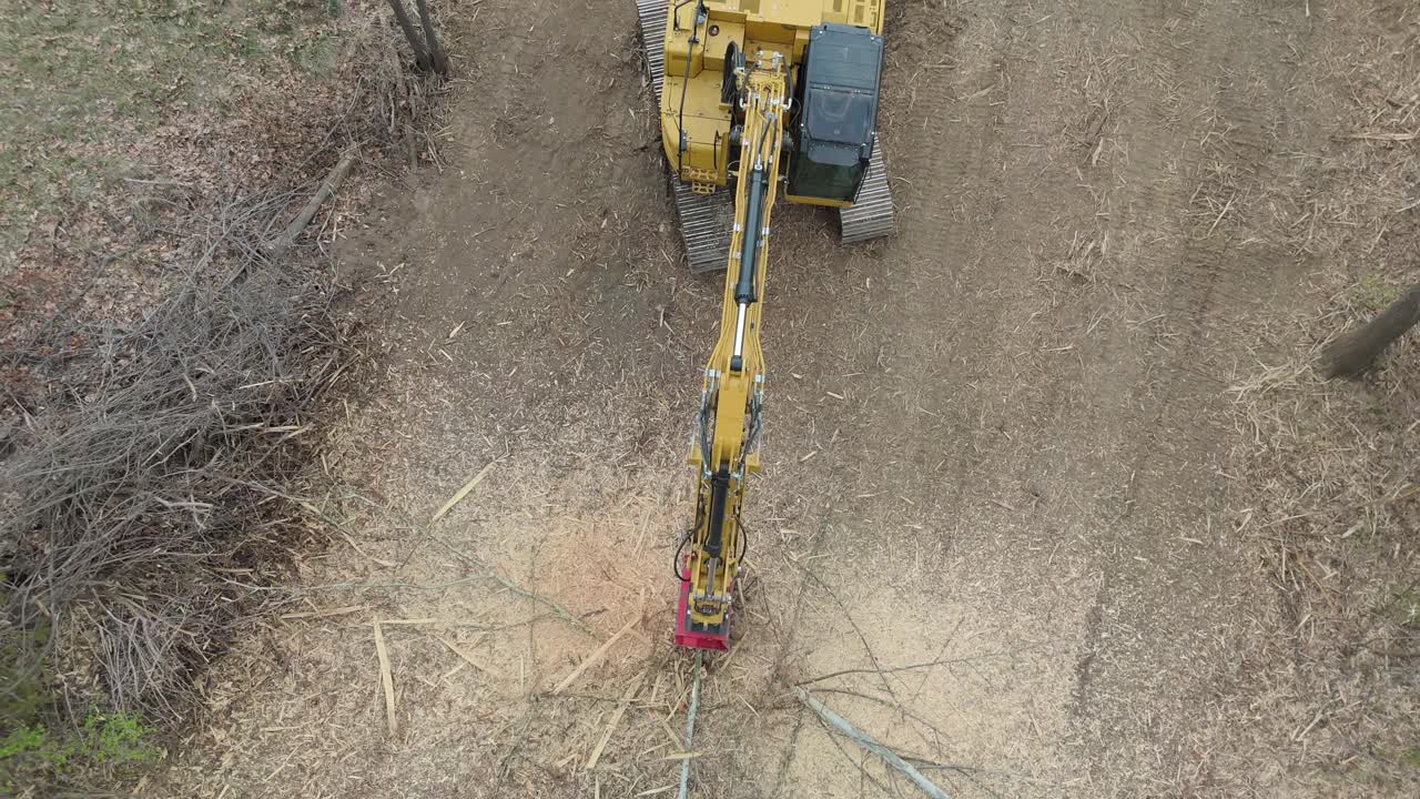Excavator with a multching head cuts down trees to clear them in the forest on a job site
