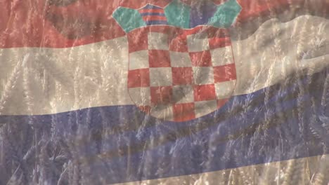 Digital-composition-of-waving-croatia-flag-against-close-up-of-crops-in-farm-field