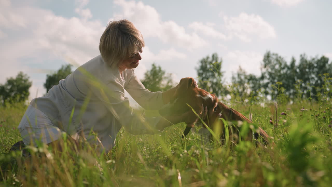 Dog owner squatting in grassy field affectionately rubbing dog's head while dog joyfully opens mouth on bright sunny day surrounded by lush greenery