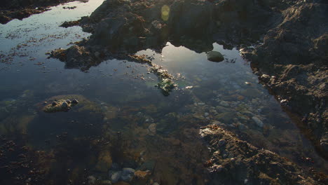 Revelación-Sutil-De-La-Piscina-De-Roca-Besada-Por-El-Sol-Durante-La-Marea-Baja-Cerca-De-La-Costa