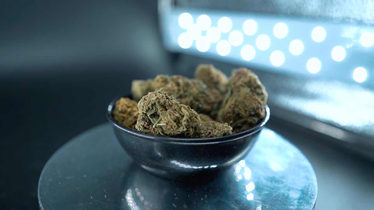 brotes de marihuana secos verdes cerca de la toma estática, montón de plantas de marihuana secas en un cuenco brillante, cepas de tricomas, en un soporte giratorio reflectante, luces de estudio, cámara lenta cinematográfica 120 fps video