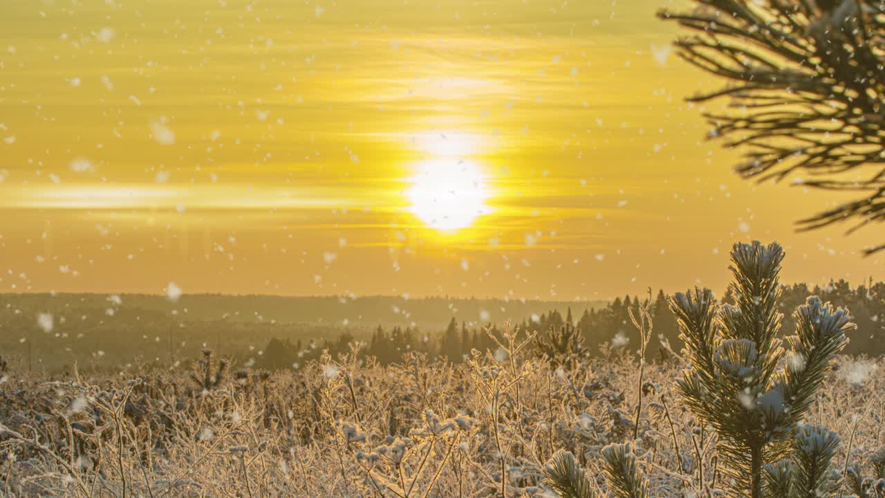 눈이 내리는 자연, 숲, 나무, 풍경, 빛, 은 겨울 날, 기분, 밝은 눈, 차가운 시간, 비디오 루프, 시네마그래프 비디오 루프