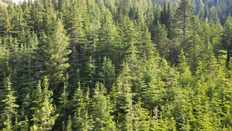 Afghanistan's Green regions