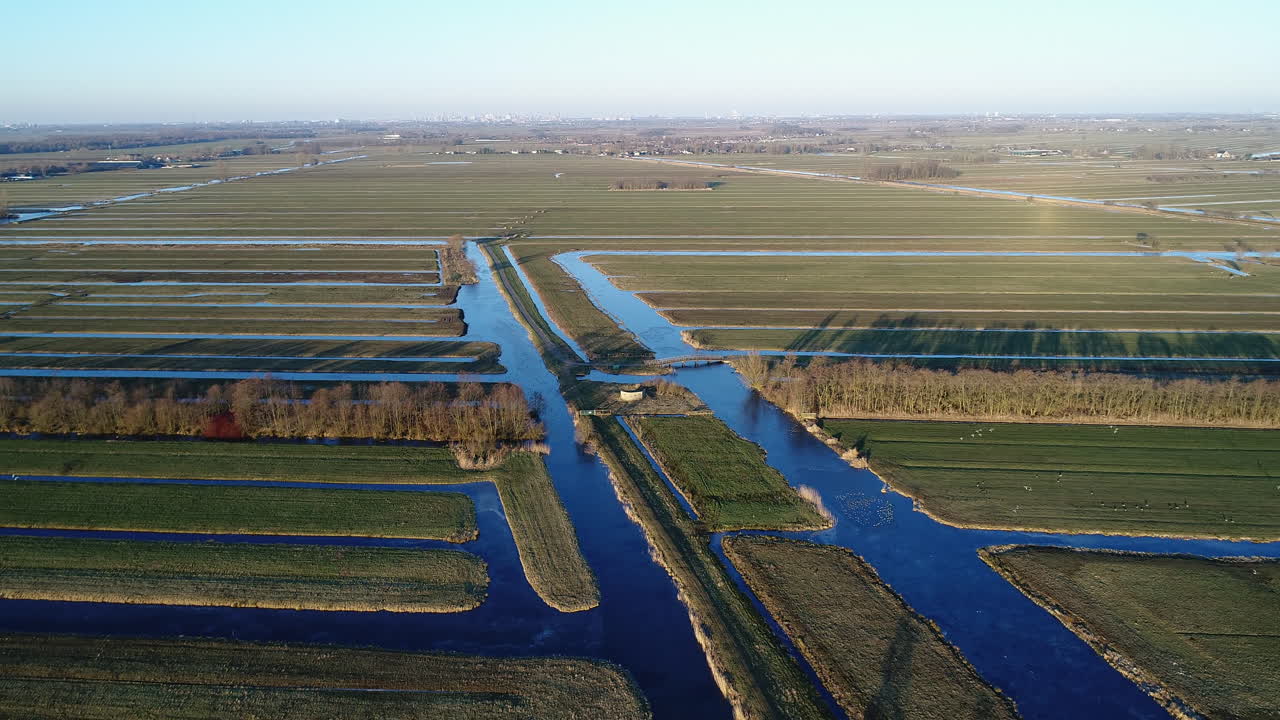 bandada de pájaros volando sobre el paisaje de zanjas cerca de krrimpenerwaard, stolwijk en invierno en países bajos