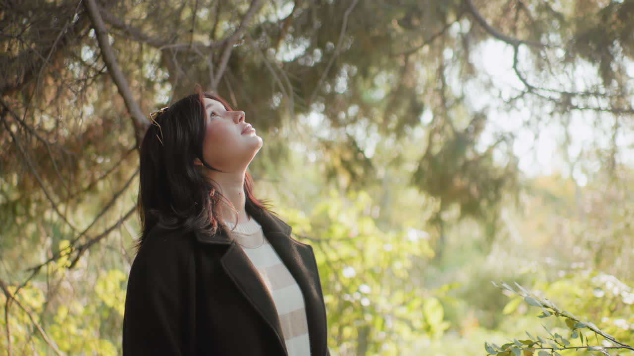 Una chica despreocupada con un abrigo oscuro se encuentra bajo ramas otoñales, mirando hacia arriba alrededor del dosel con un suave brillo solar, un pacífico telón de fondo forestal, gafas de sol en la cabeza, apreciación de la naturaleza en un bosque dorado