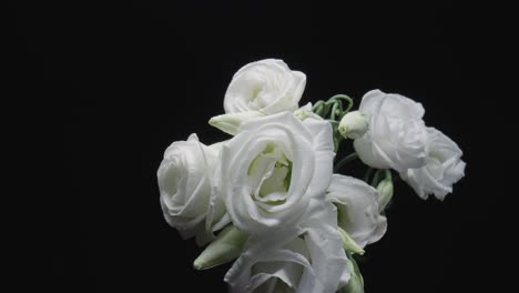 white flowers bouquet close-up