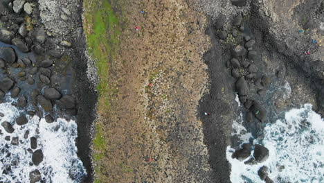 Vista-De-Pájaro-De-Los-Turistas-Que-Visitan-Las-Formaciones-Rocosas-De-La-Calzada-Del-Gigante-En-Irlanda-Del-Norte