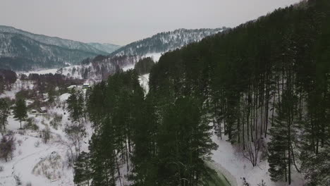 Grüne-Straße-Mit-Tannennadeln-Bedeckt,-Am-Hang-Gebaut