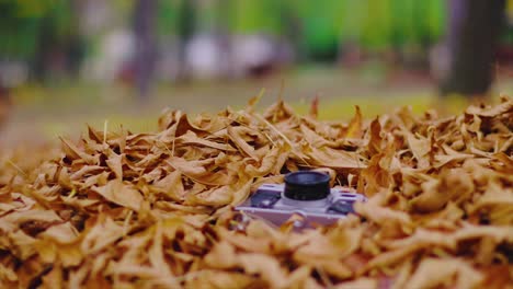 Old-photo-camera-falling-on-the-brown-dying-leaves-in-a-park-in-autumn