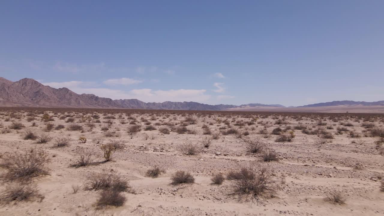 Captured near Joshua Tree National Park, this drone footage compellingly pushes into the resilient shrubs of the desert, providing an intimate look at this rugged ecosystem