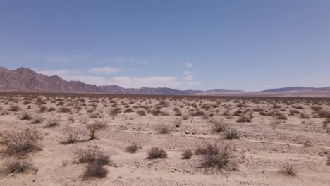 captured near joshua tree national park, this drone footage compellingly pushes into the resilient shrubs of the desert, providing an intimate look at this rugged ecosystem