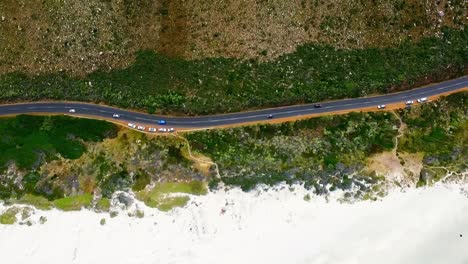 carretera costera rodeada de vegetación