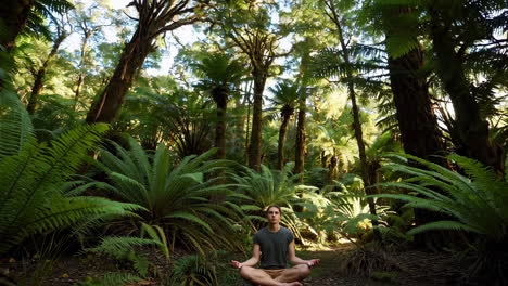 woman meditating in a lush forest