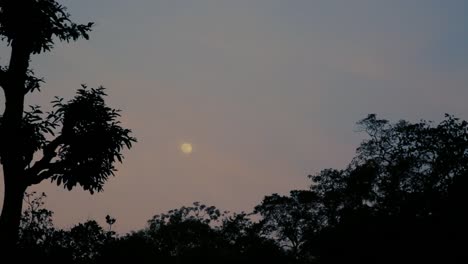 Dämmerungsszene-Mit-Vollmond-Im-Himmel,-Silhouette-Von-Bäumen-Im-Vordergrund