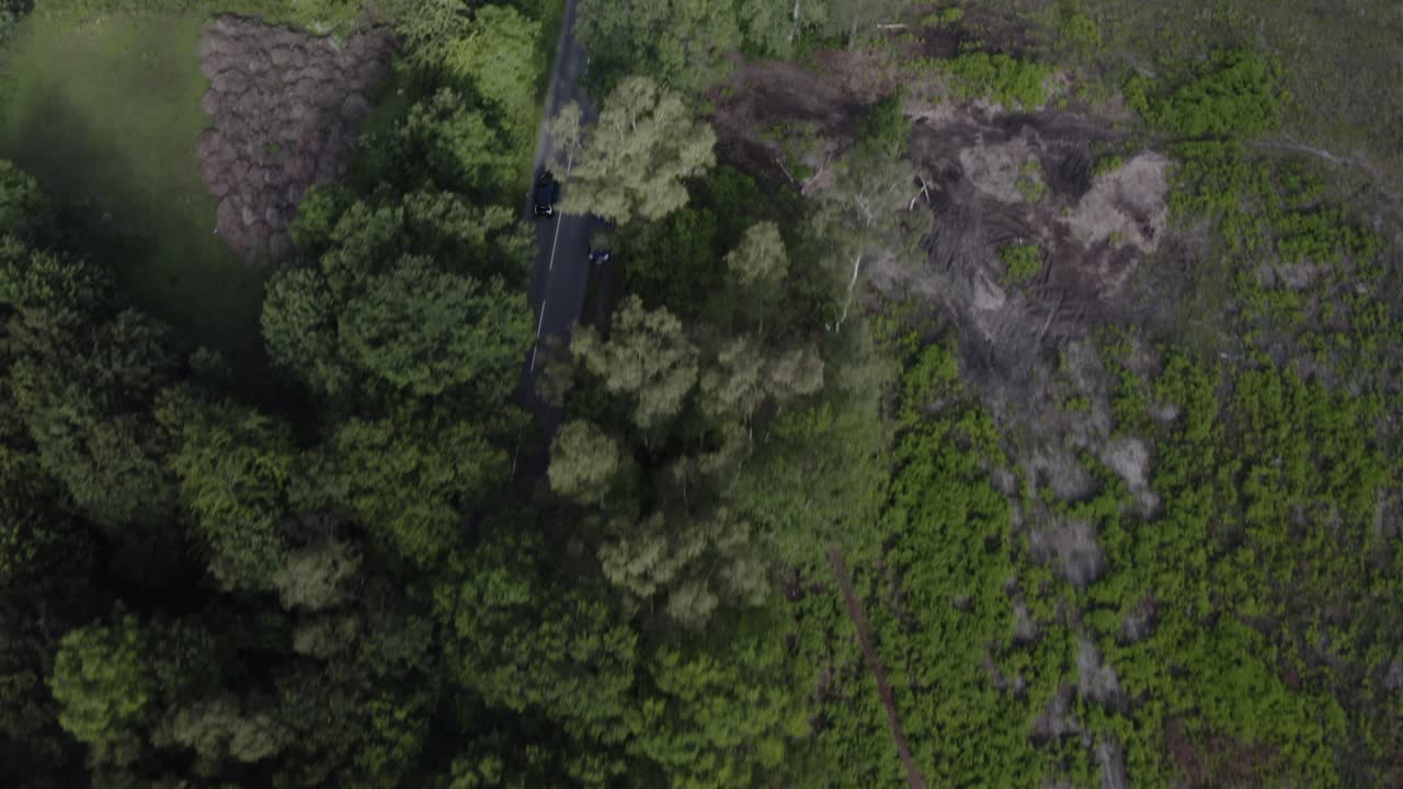 vista aérea de aviones no tripulados toma de seguimiento de automóviles a lo largo de la carretera forestal del campo