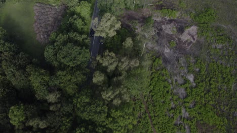 Vista-Aérea-De-Aviones-No-Tripulados-Toma-De-Seguimiento-De-Automóviles-A-Lo-Largo-De-La-Carretera-Forestal-Del-Campo