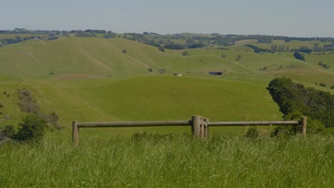 Hermosas-Colinas-Verdes-Y-Exuberantes-En-Victoria-Australia-Con-Viejas-Cercas-De-Madera