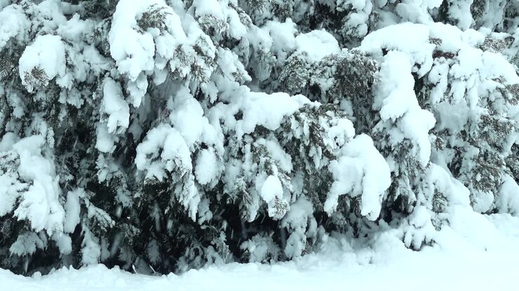 Wintertag. Dreharbeiten im Park. Dreharbeiten im Winter.