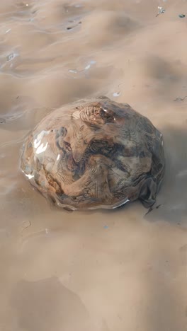 esfera de madera en el agua