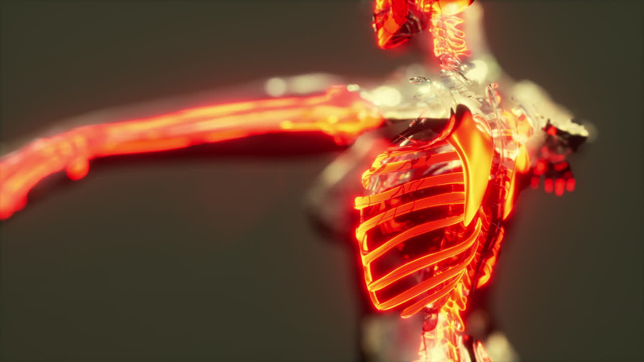 concepto de las articulaciones humanas con la anatomía del esqueleto del cuerpo