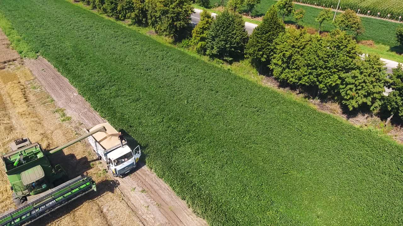 Pouring grain into a truck from a combine