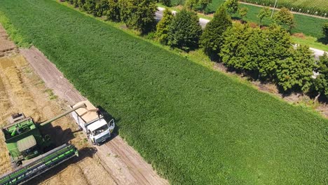 pouring grain into a truck from a combine