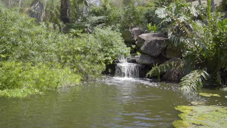 small slow zoom in video of water flowing