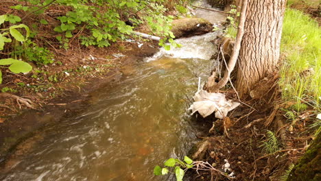 small forest river with polluted water with nylons and garbage