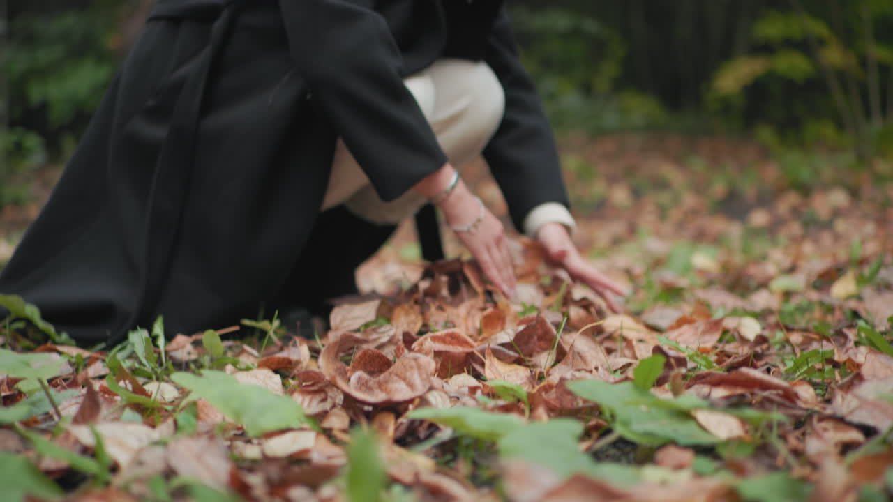 숲길에서 고개를 숙인 채 마른 나뭇잎을 줍고, 나뭇잎 더미에 몸을 숙이고 있는 패셔너블한 소녀, 검은색 코트와 스트라이프 스웨터, 차분한 가을 분위기, 조용한 산책 중 자연스러운 계절의 순간