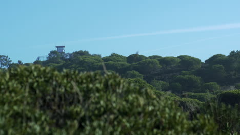 watch tower shot in the forest near the beach