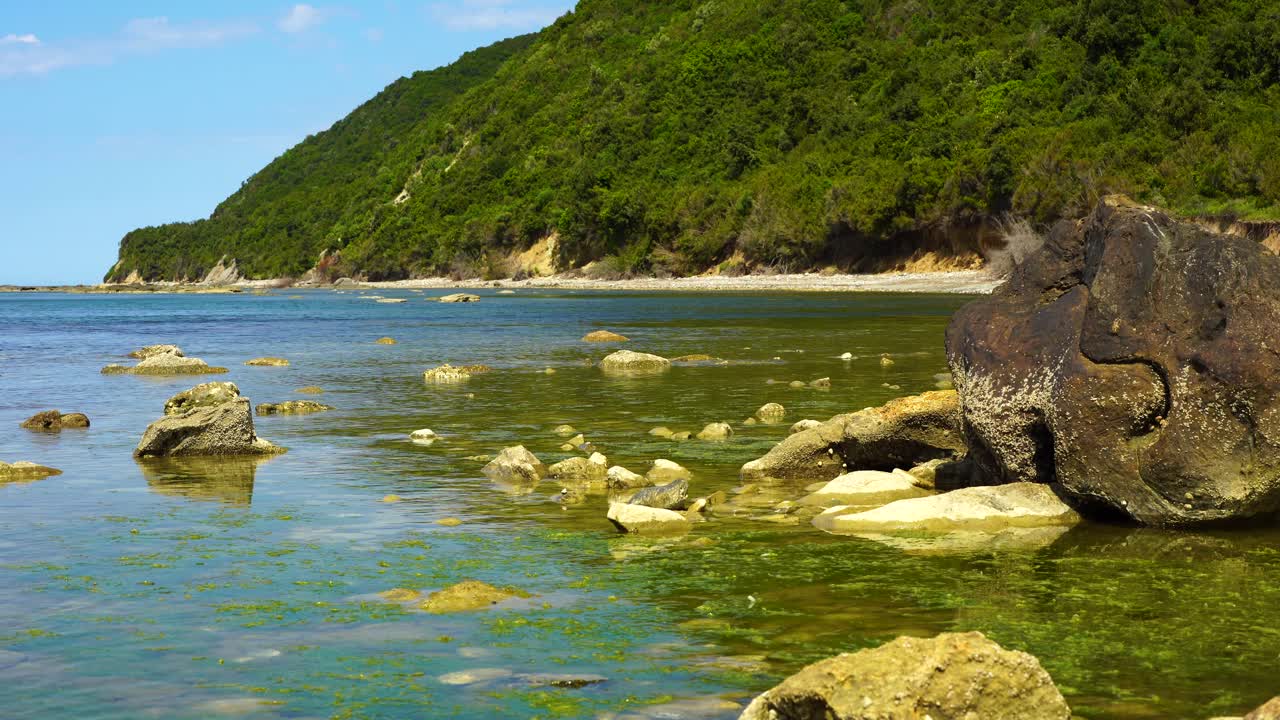 녹색 조류로 가득 찬 지중해의 바위 해안선에 오염 된 바다 해안