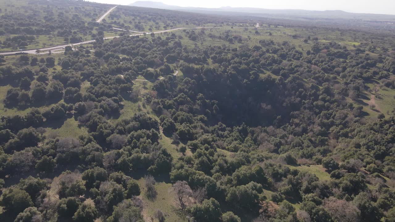 Veduta aerea con drone che si allontana dal cratere vulcanico con alberi, Big Jupta, Israele.