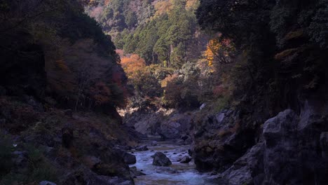 beautiful fall foliage against deep dark ravine with running river