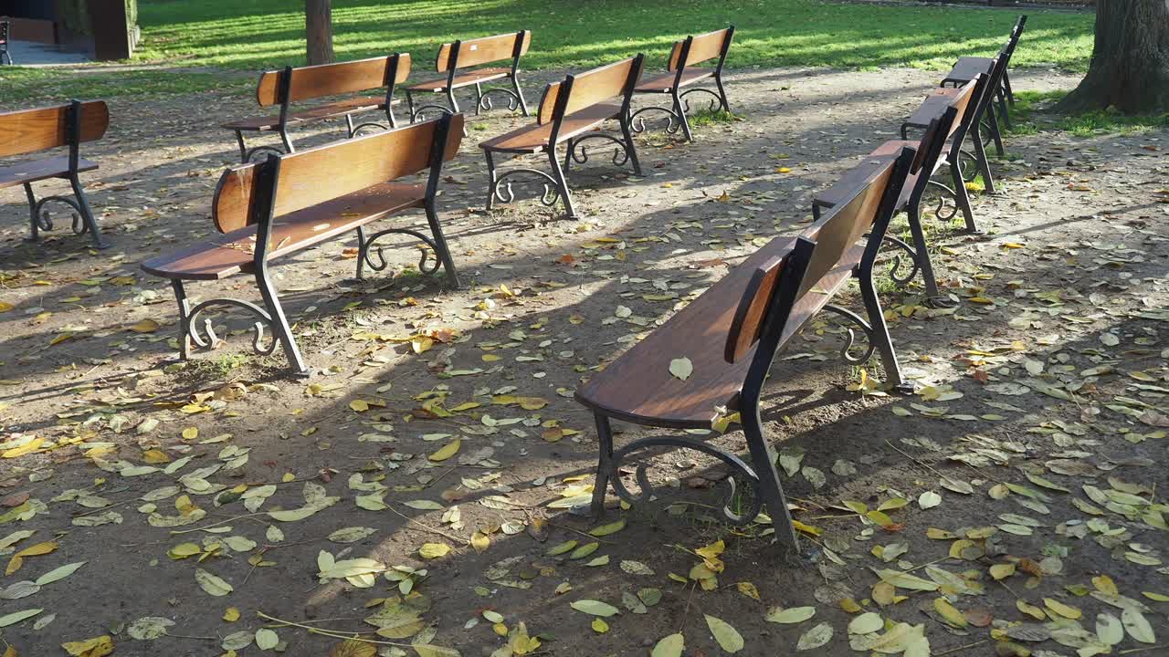 Empty Park Benches on a Sunny Autumn Day