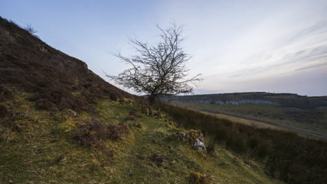 lapso de tiempo del paisaje rural y remoto de hierba, árboles y rocas durante el día en las colinas de carrowkeel en el condado de sligo, irlanda