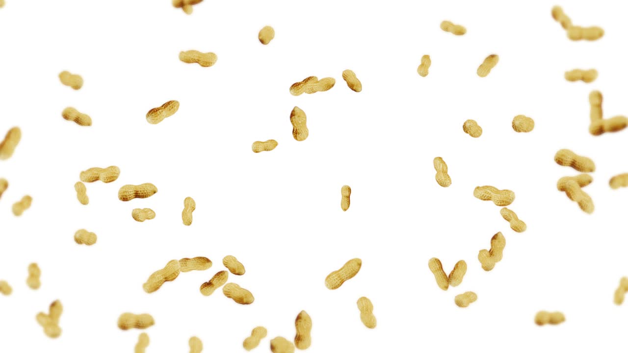 Flying many peanuts on white background. Raw peanuts. Groundnuts in shells. Healthy organic food. 3D loop animation of seed rotating.