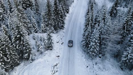 Hinter-Einem-Auto,-Das-Auf-Einer-Verschneiten-Straße-Zwischen-Kiefern-Hoch-In-Den-Bergen-Fährt