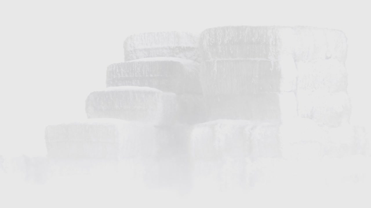 montones de heno en ventisca peligrosa, estados unidos, cambio climático