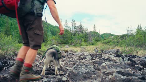 un hombre y su perro navegan por el terreno rocoso mientras caminan de imefjelsvatnet a gurben en indre fosen, trøndelag, noruega - toma estática