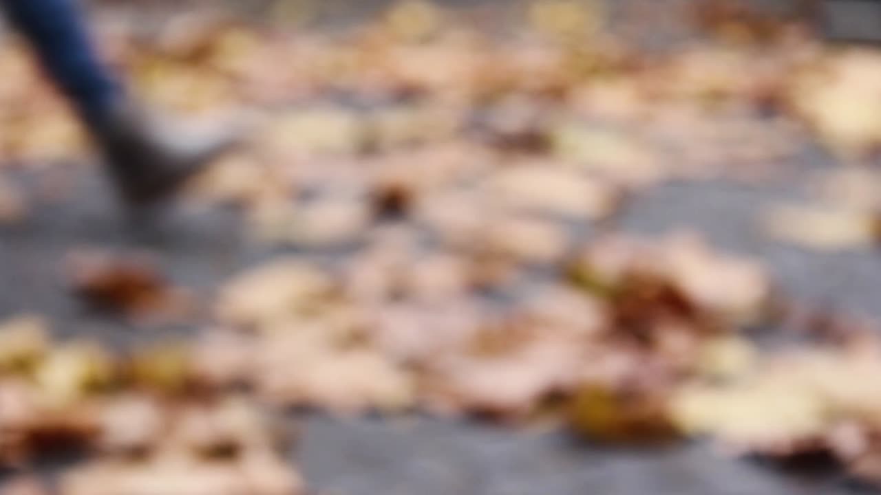 Gambe sfocate che camminano durante la stagione autunnale a Magonza.