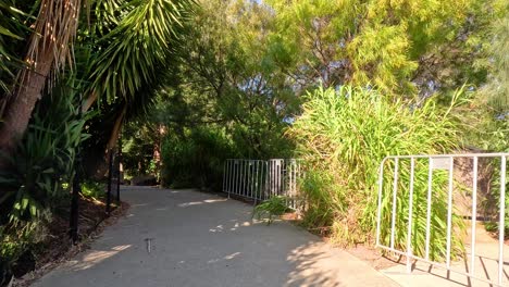 a walk through lush greenery at melbourne zoo