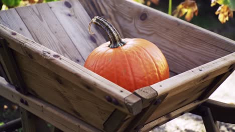 a vibrant pumpkin resting in a rustic wooden wheelbarrow surrounded by lush autumn foliage, capturing the essence of fall harvests and outdoor decor