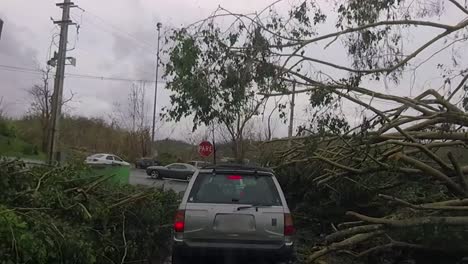conduciendo dos días después de que el huracán maria destruyó puerto rico