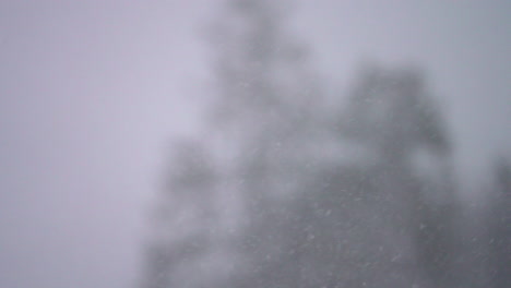 super slow motion of a heavy, blustering snow storm against a pine forest